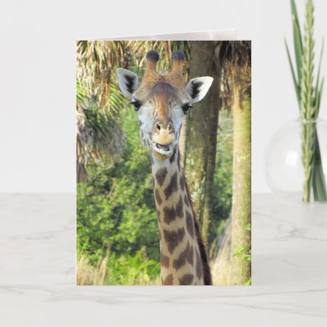 Carte de voeux Silly Giraffe (Devant)