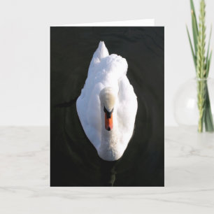Carte de voeux Simplicity Swan