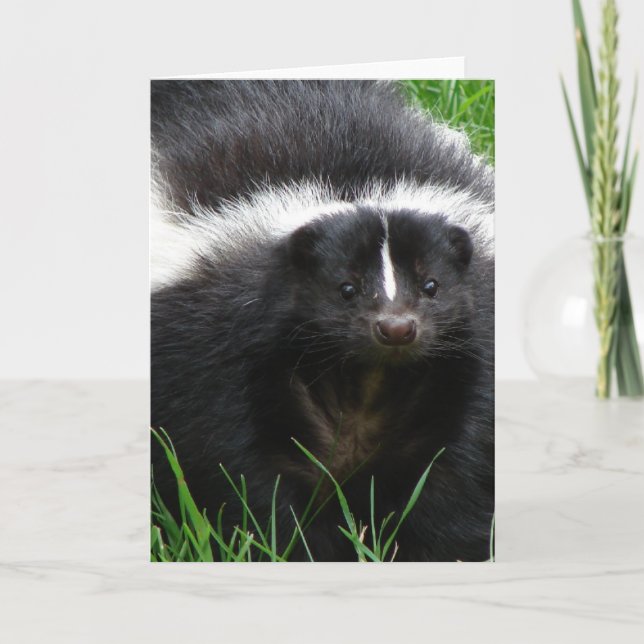 Carte de voeux Skunk Photo (Devant)