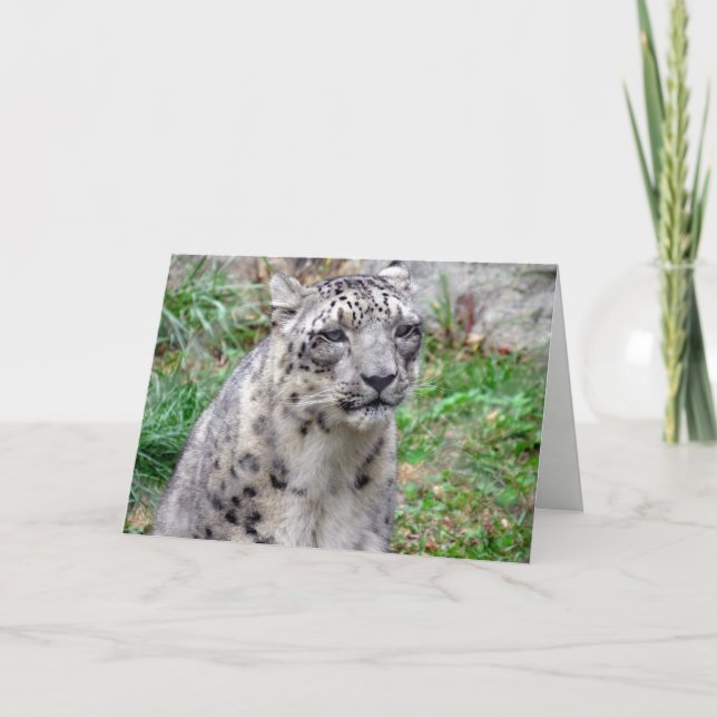 Carte de voeux Snow Leopard (Devant)