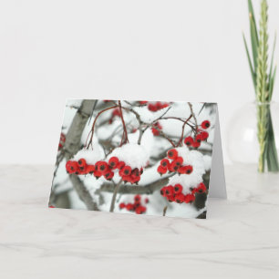 Carte de voeux Snowberries