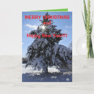 Carte de voeux Snowy Christmas Tree ! !
