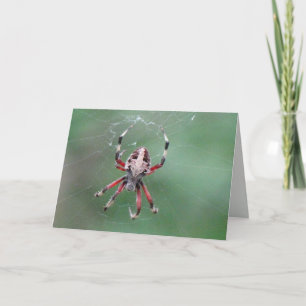 Carte de voeux Spider