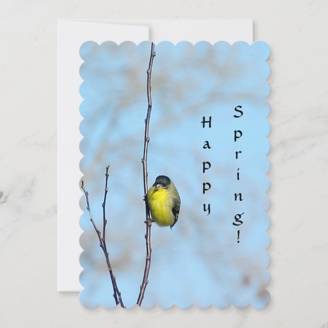 Carte de voeux - Spring Finch (Devant)
