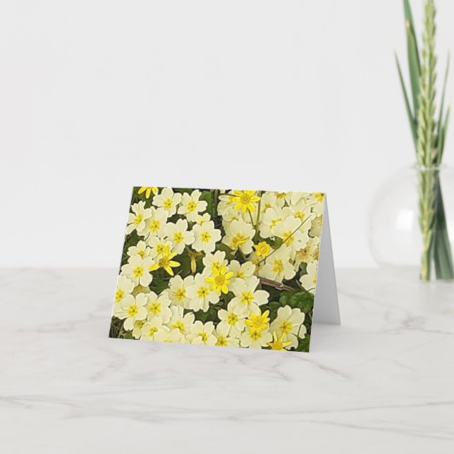Carte de voeux Spring Primroses (Devant)