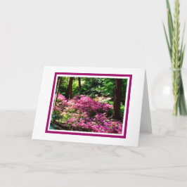 Carte de voeux Spring Walk Blank