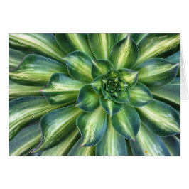 Carte de voeux Succulente