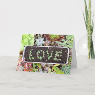 Carte de voeux succulente de jardin d'AMOUR