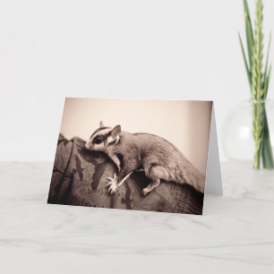 Carte de voeux Sugar Glider
