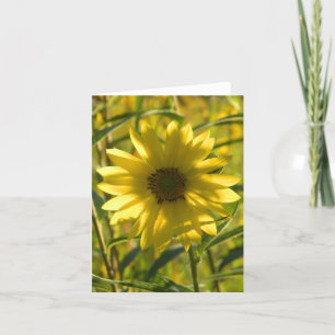 Carte de voeux Sunflower Glow