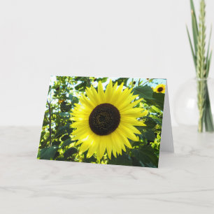 Carte de voeux Sunflower Scene