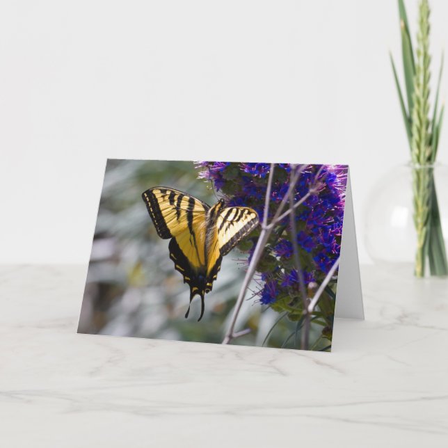 Carte de voeux Swallowtail Butterfly (Devant)