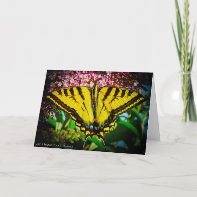 Carte de voeux Swallowtail Butterfly (Devant)