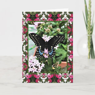 Carte de voeux Swallowtail & Cosmos