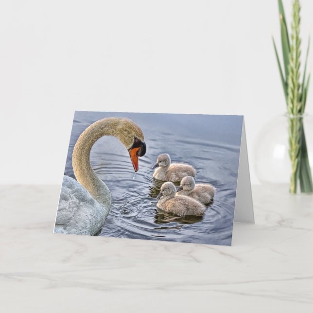 Carte de voeux Swan & Baby (Devant)