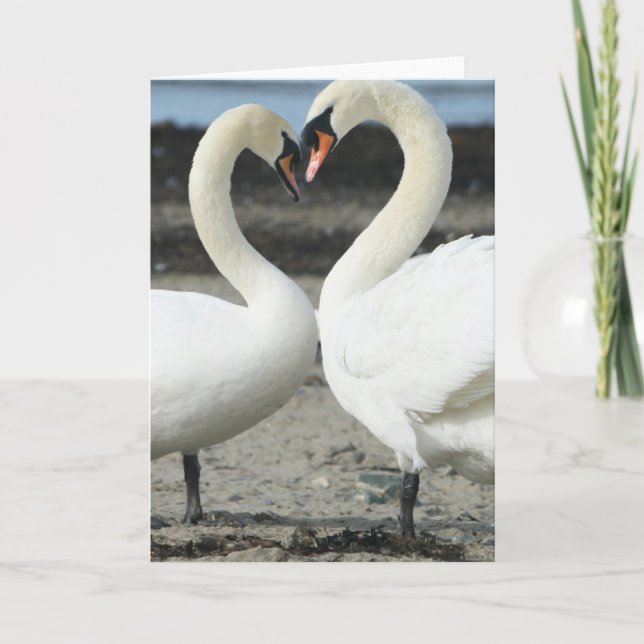 Carte de voeux Swan Love (Devant)