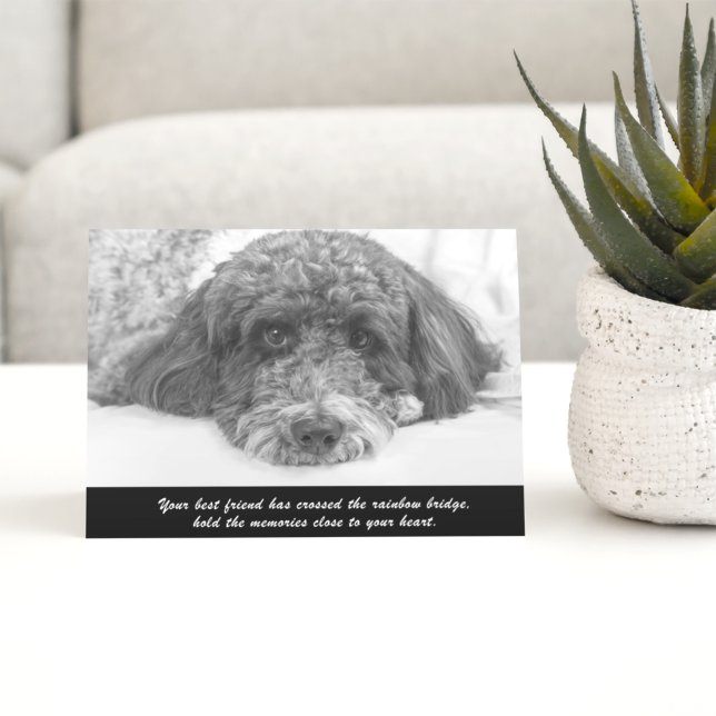 Carte de voeux Sympathy Labradoodle (Créateur téléchargé)