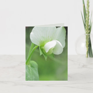 Carte de voeux Sympathy modèle personnalisable