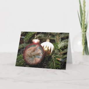 Carte de voeux Tabby Cat Christmas Ball