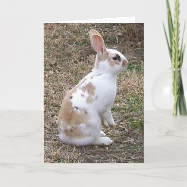 Carte de voeux tachetée de lapin (Devant)