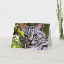 Carte de voeux "Tête de chat Tabby Argent" avec en