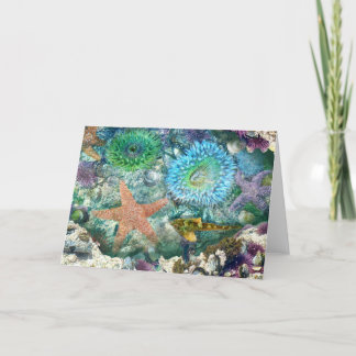 Carte de voeux Tidepool Réflexions