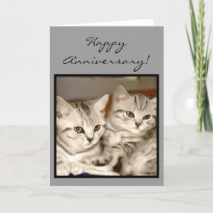 Carte de voeux tigrée de chatons d'anniversaire