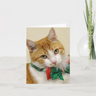 Carte de voeux tigrée de Noël de délivrance de