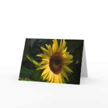 Carte de voeux Tournesol blanc