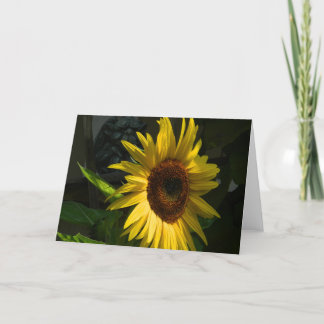 Carte de voeux Tournesol blanc
