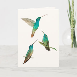 Carte de vœux Trois Oiseaux-Mouches