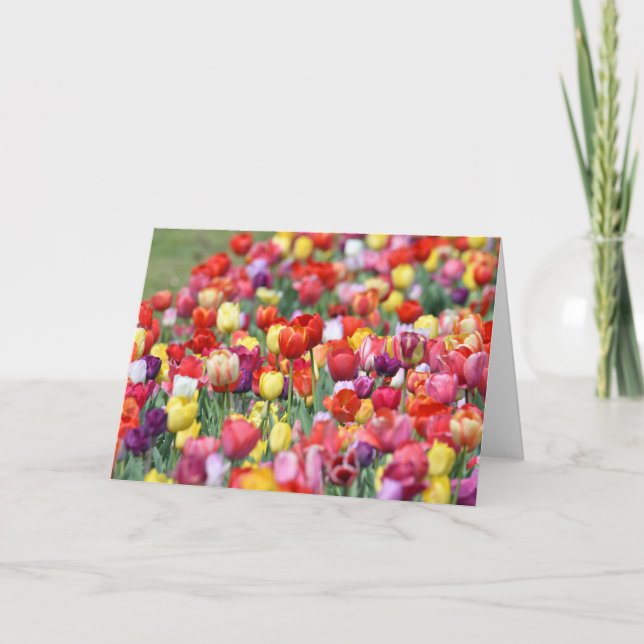 Carte de voeux Tulip Flowers (Devant)