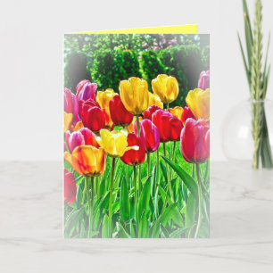 Carte de vœux Tulipes