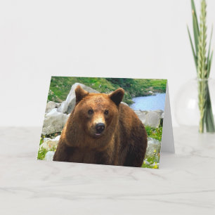 Carte de voeux "Un ours nommé Buddy"