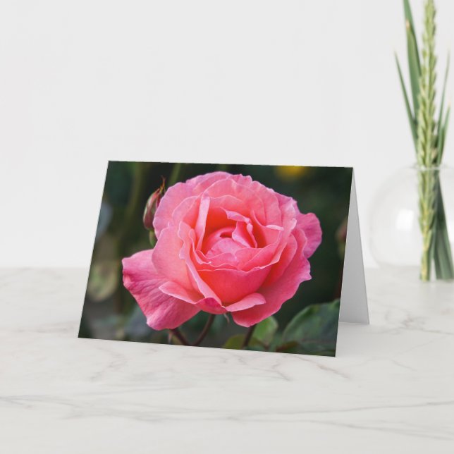 Carte de voeux - Un Rose pour vous de Puerto Montt (Devant)