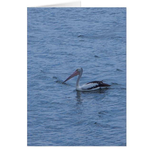 Carte de voeux vide (Devant)