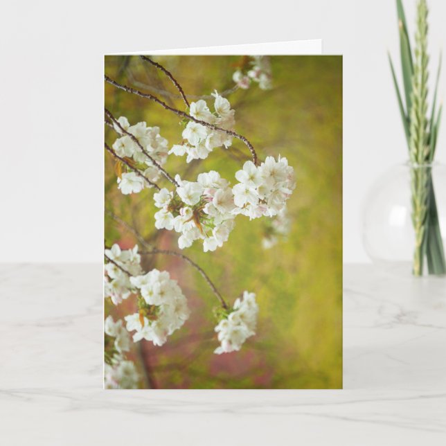 Carte de voeux, vide à l'intérieur (Devant)