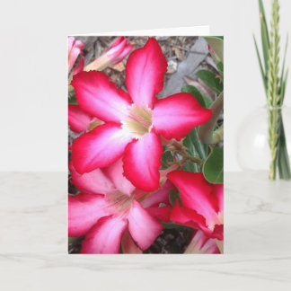 Carte de voeux vierge