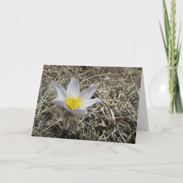 Carte de voeux vierge (Devant)