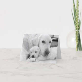 Carte de voeux vierge