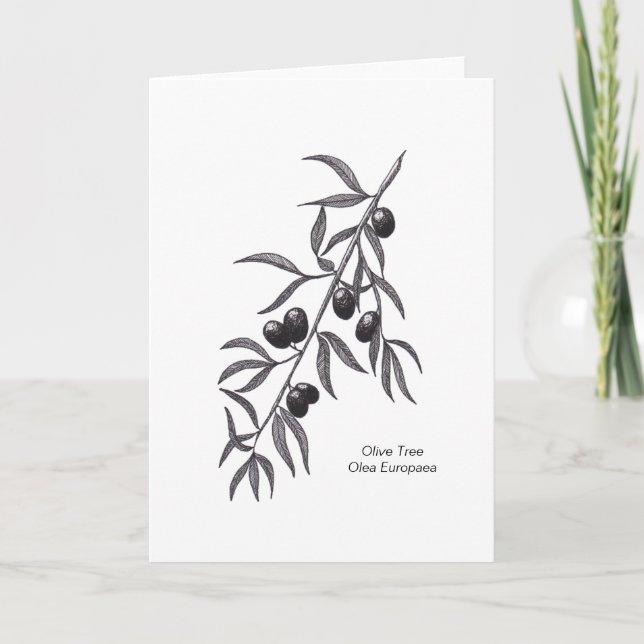 Carte de voeux vierge à succursale d'olive pour to (Devant)