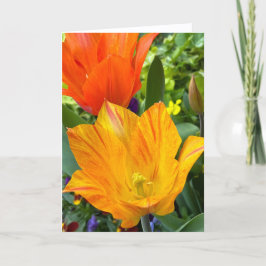 Carte de vœux vierge aux tulipes lumineuses