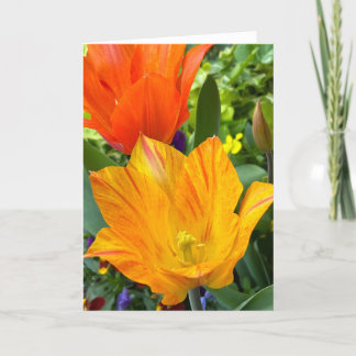 Carte de vœux vierge aux tulipes lumineuses