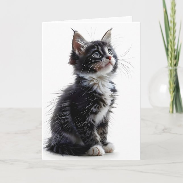 Carte de vœux vierge avec chat à poil long noir et (Devant)