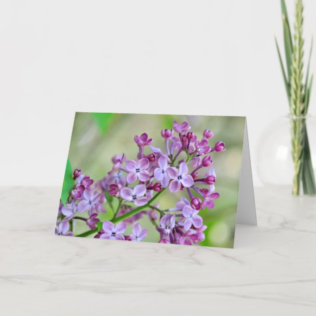 Carte de voeux vierge avec Fleurs Lilac (Devant)