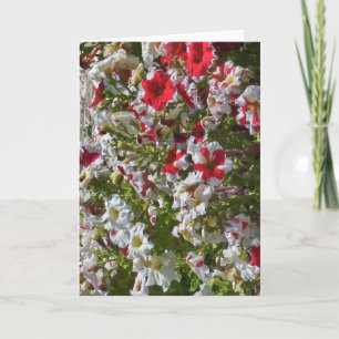 Carte de vœux vierge avec fleurs rouges et blanche