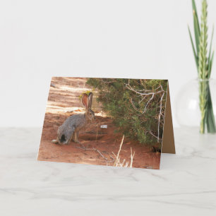 Carte de voeux vierge avec Jackrabbit dans le dése