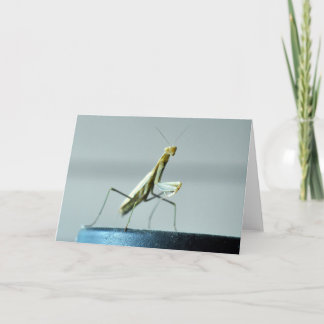 Carte de voeux vierge avec la photo de mante de