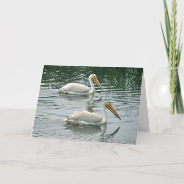 Carte de voeux vierge avec la photo de pélican (Devant)