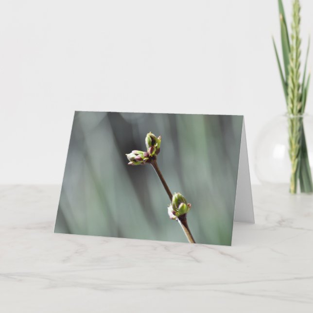 Carte de voeux vierge avec photo Budding Lilac (Devant)